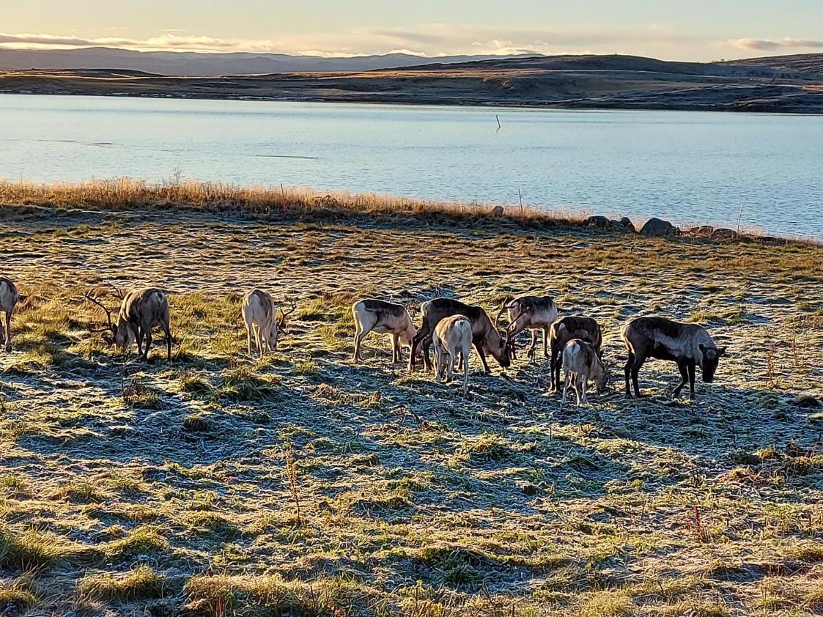 Austertanakrystallen By Pure Lifestyle Arctic Kültér fotó