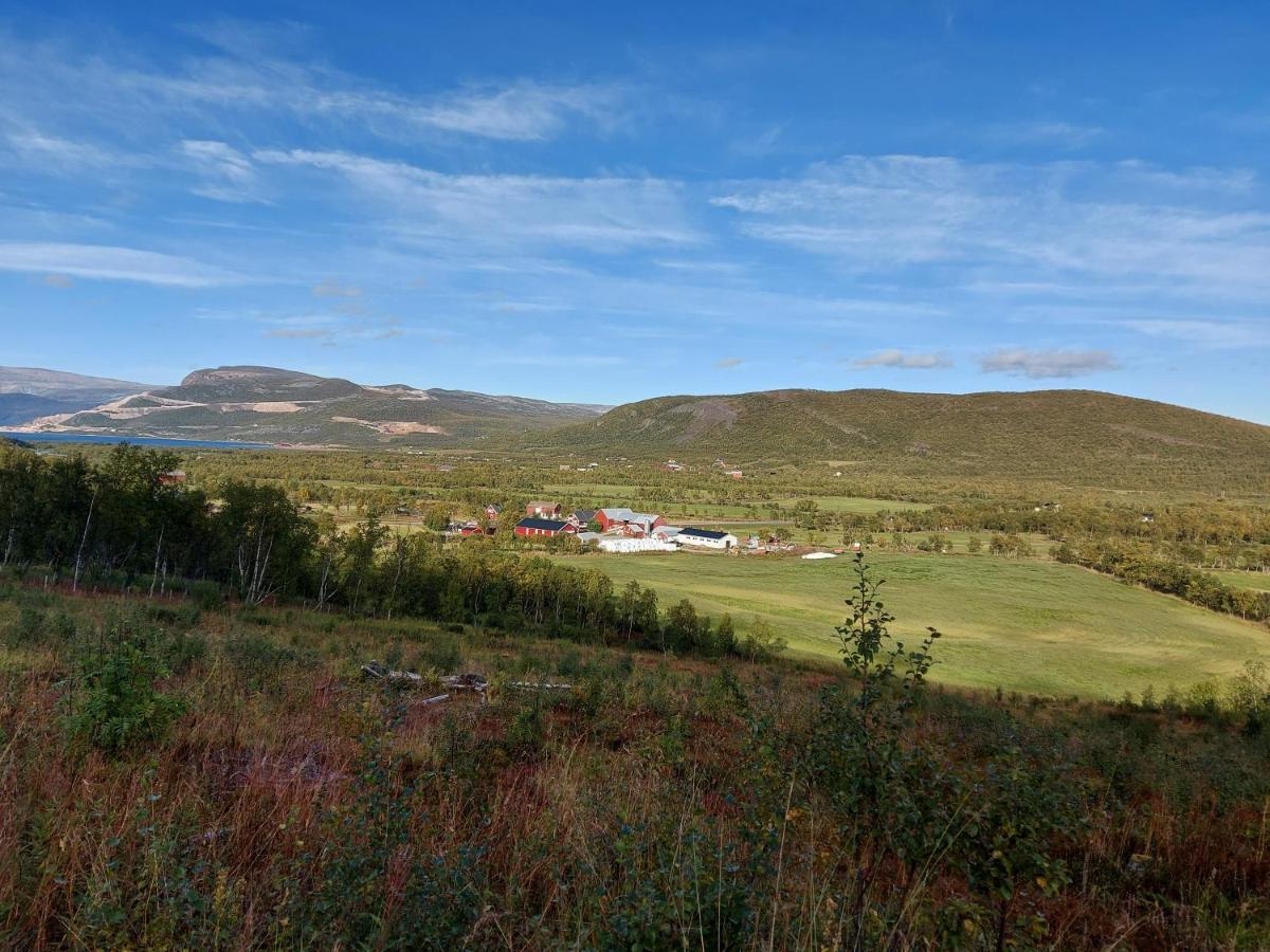 Austertanakrystallen By Pure Lifestyle Arctic Kültér fotó